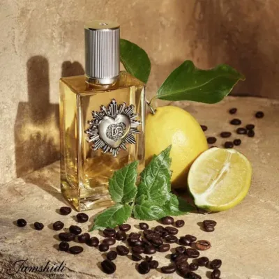 دولچه گابانا 2 دولچه گابانا