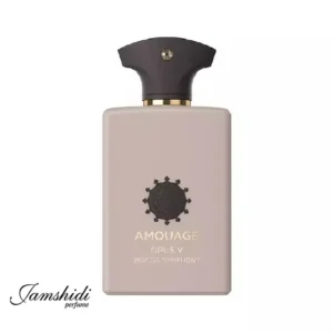 عطر آمواج رکلس لدر یونیسکس اورجینال