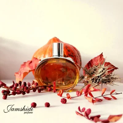 Hermès Barénia Intense3 عطر هرمس بارنیا اینتنس زنانه اورجینال