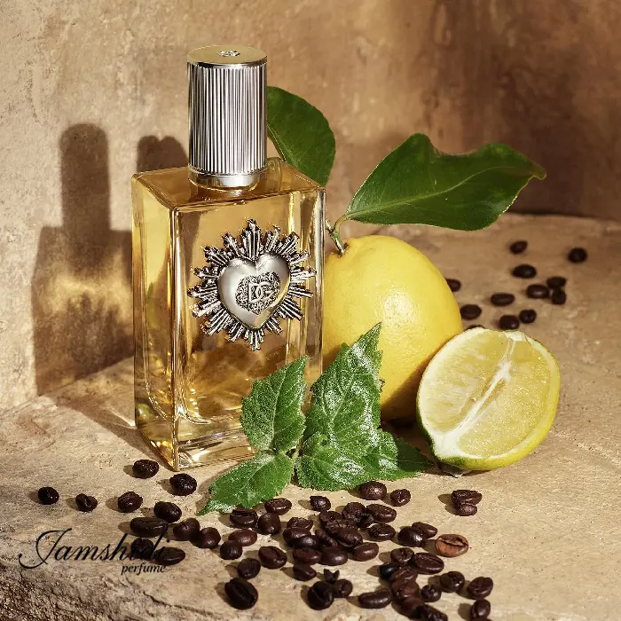 عطر دولچه اند گابانا دیووشن پورهوم مردانه اورجینال