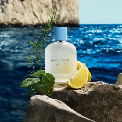 Dolce & Gabbana Light Blue Pour Homme3