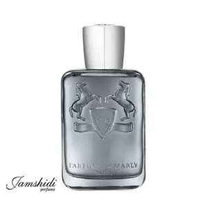 عطر پارفومز د مارلی کستلی مردانه اورجینال
